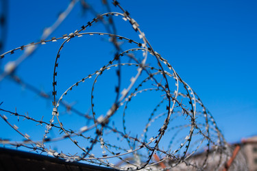 Similar image 16925805