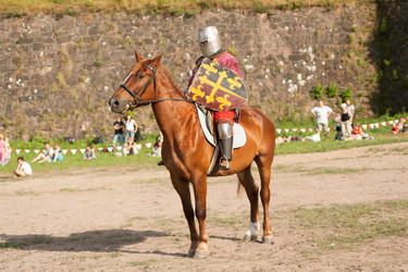 Similar image 17295897