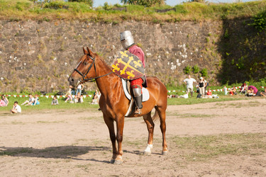 Similar image 17295913