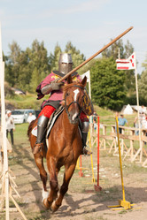 Similar image 17295941