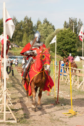 Similar image 17295955