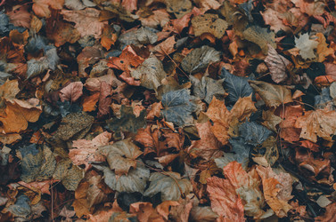 Similar image 16927189