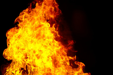 Similar image 17237981