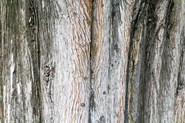 Similar image 16923255