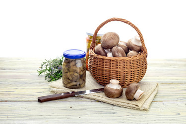 Similar image 17247922