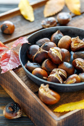 Similar image 16922265