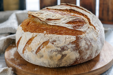 Similar image 16922274