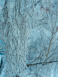 Similar image 17244308