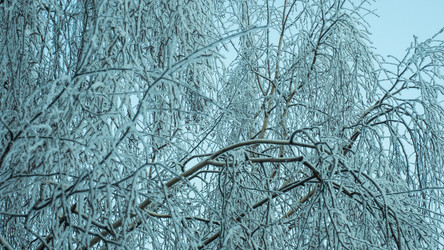 Similar image 17244347