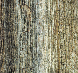 Similar image 17244349