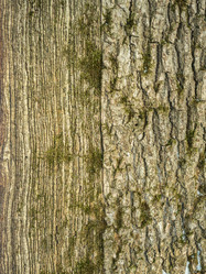 Similar image 17244350