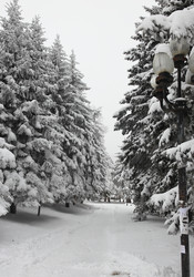 Similar image 16926730