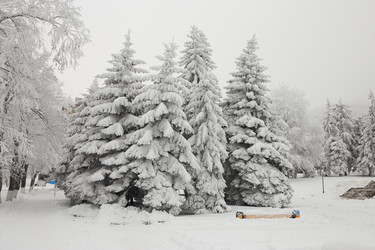 Similar image 16926731