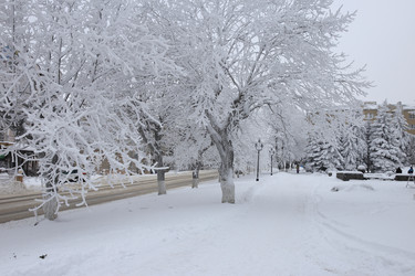 Similar image 16926752