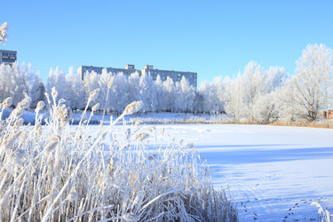 Similar image 16926755