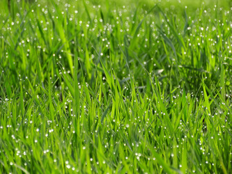 Similar image 16927677