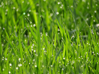 Similar image 16927679