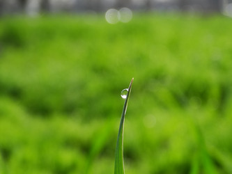 Similar image 16927689