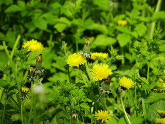 Similar image 16927695