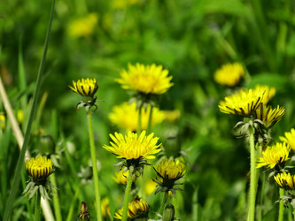 Similar image 16927696