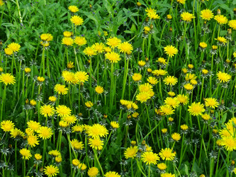 Similar image 16927697