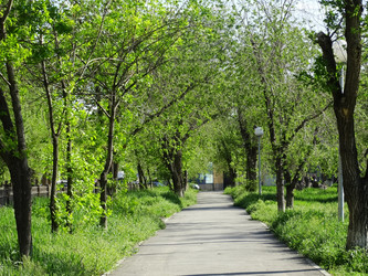 Similar image 16927717