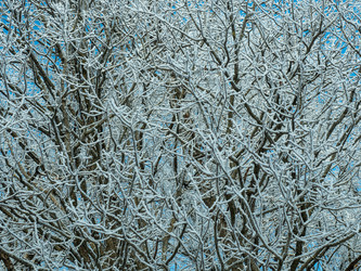 Similar image 17244446