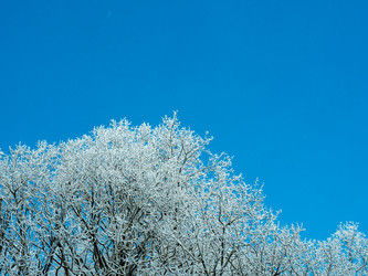 Similar image 17244450