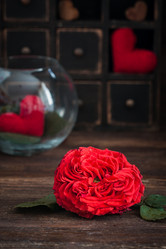 Similar image 16924820