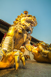 Similar image 17238023