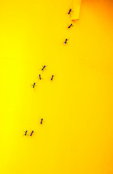 Similar image 17238046