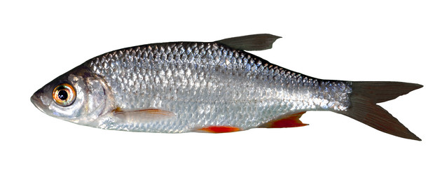 Similar image 17238047