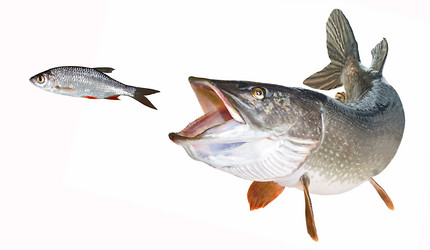 Similar image 17238072