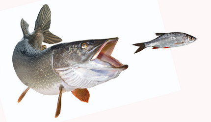 Similar image 17238073