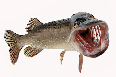 Similar image 17238083