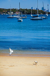 Similar image 17238033