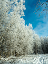 Similar image 17244393