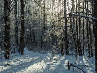 Similar image 17244406