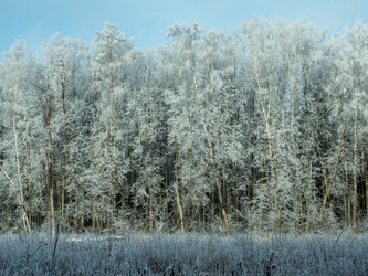 Similar image 17244409