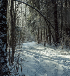 Similar image 17244415