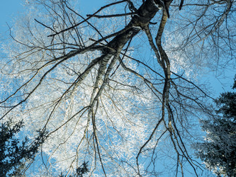 Similar image 17244418