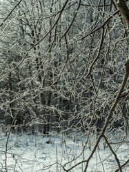 Similar image 17244424