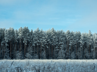 Similar image 17244426