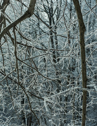 Similar image 17244437