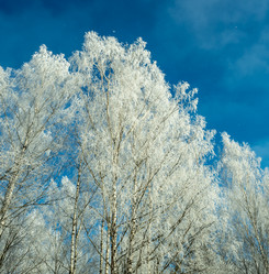 Similar image 17244444