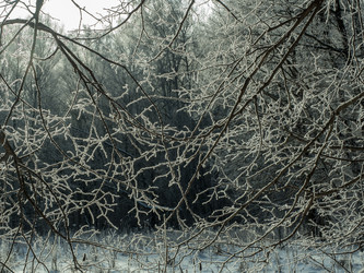 Similar image 17244461