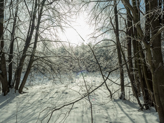 Similar image 17244290