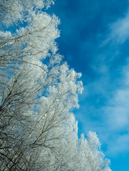 Similar image 17244313