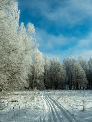 Similar image 17244314