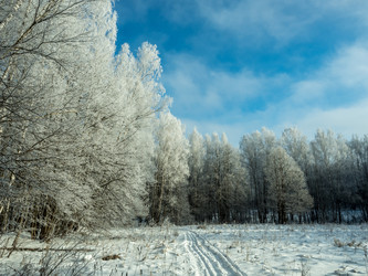 Similar image 17244315